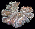 Layered Leaf Pendant